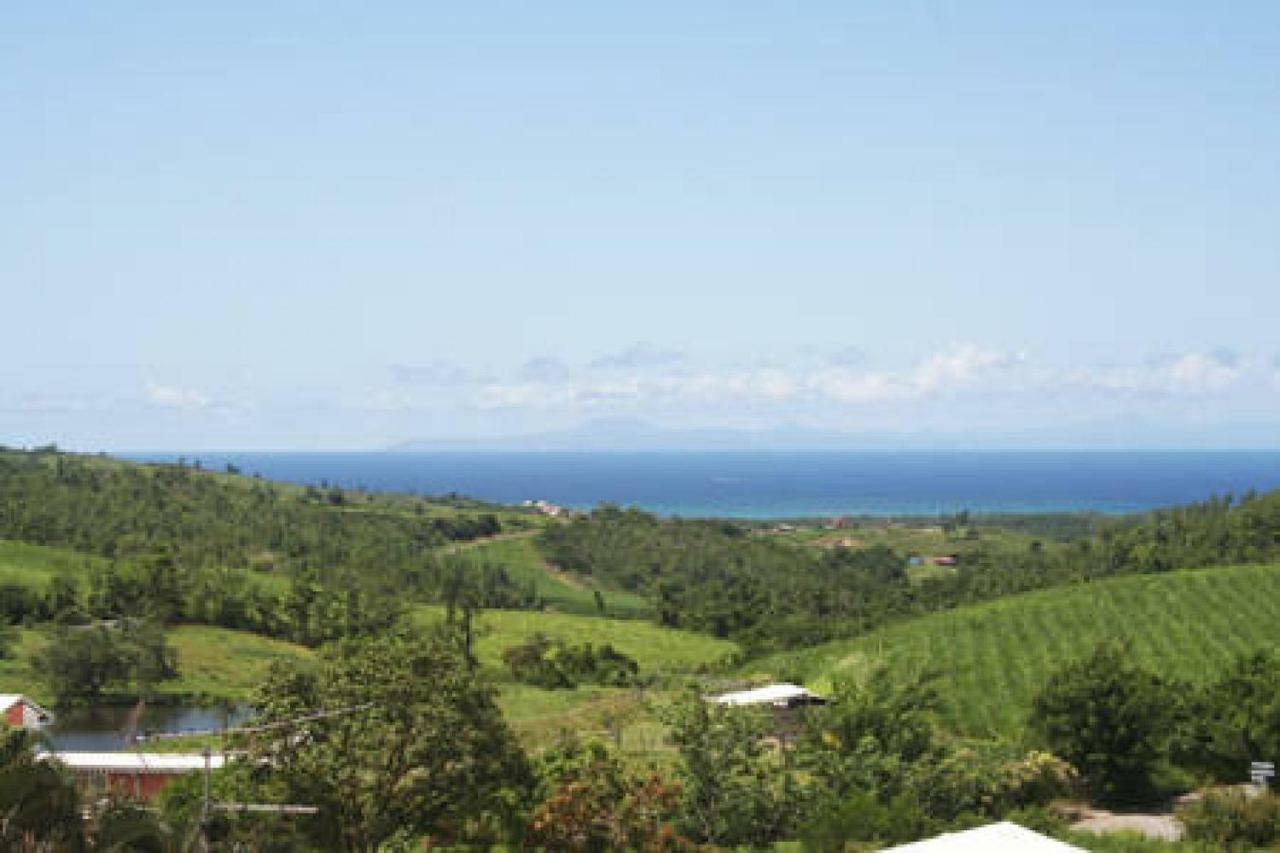 Villa Manguier Riviere-Salee Εξωτερικό φωτογραφία